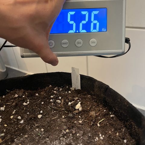 Blueberry OG growlog timeline photo