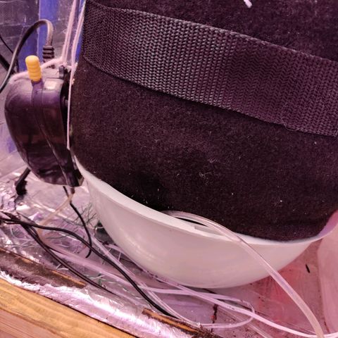 Неизвестный генетический growlog timeline photo