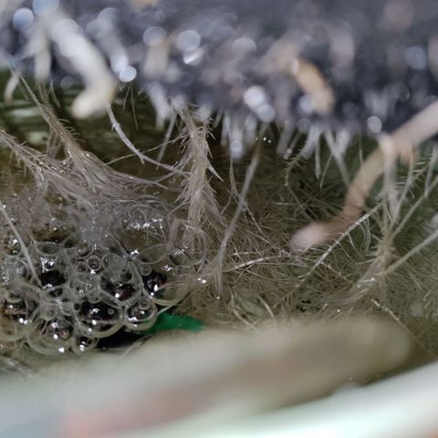 Неизвестный генетический growlog timeline photo