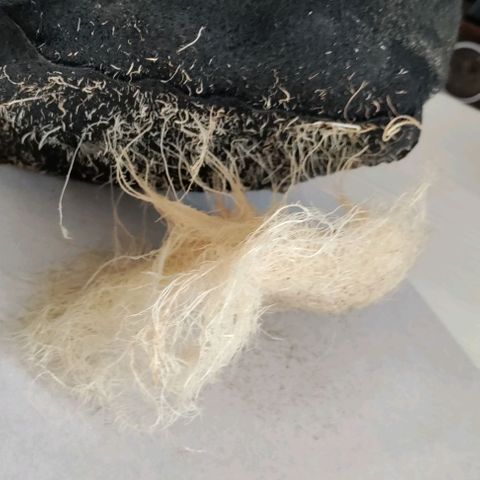 Неизвестный генетический growlog photo: Харвест