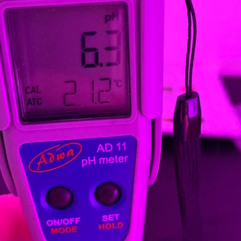 Diesel growlog timeline photo