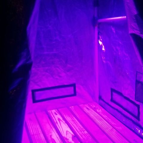 BlueBerry Auto growlog photo: Sub Floor added for ventilation. 