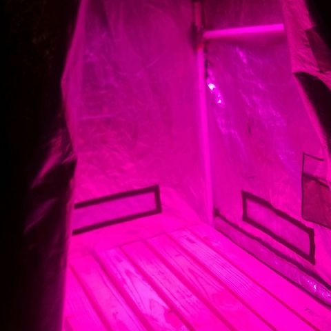 BlueBerry Auto growlog photo: Sub Floor added for ventilation. 