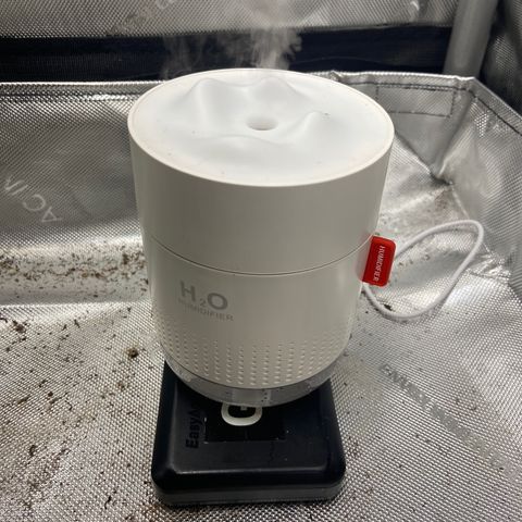 Gush Mintz growlog timeline photo