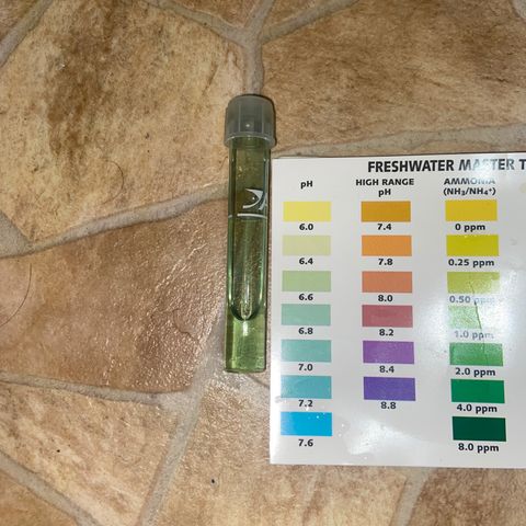 Gush Mintz growlog photo: About 13ml of lemon juice in 2 gallon of water. PH about 6.6.