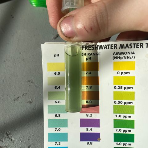 Gush Mintz growlog photo: -10:01am