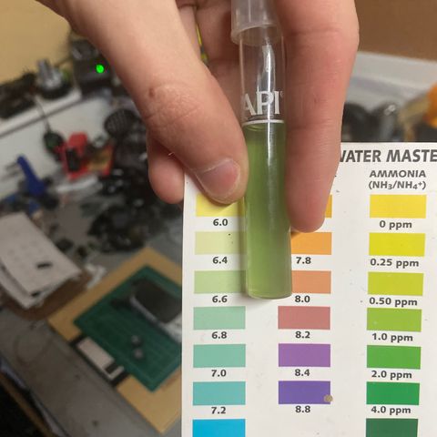 Gush Mintz growlog timeline photo
