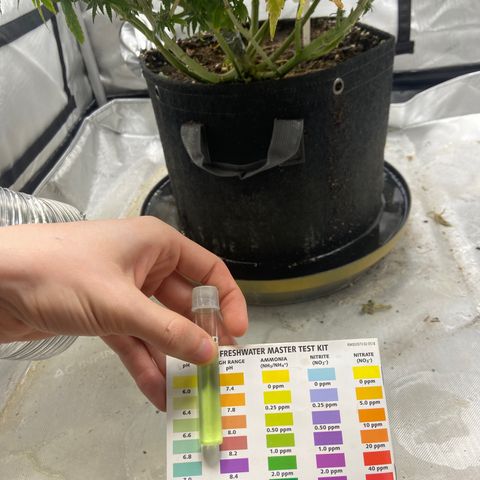 Gush Mintz growlog photo: -1:26pm