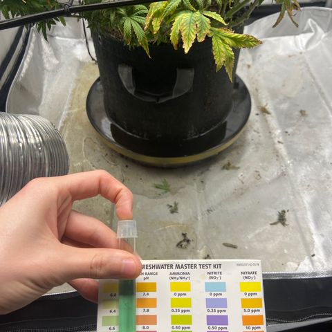 Gush Mintz growlog photo: -9:13am