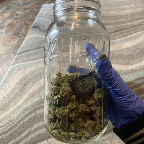 Gush Mintz growlog photo: -6:16pm