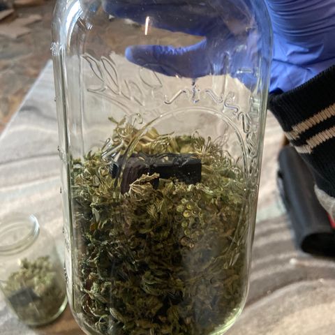 Gush Mintz growlog photo: -6:17pm
