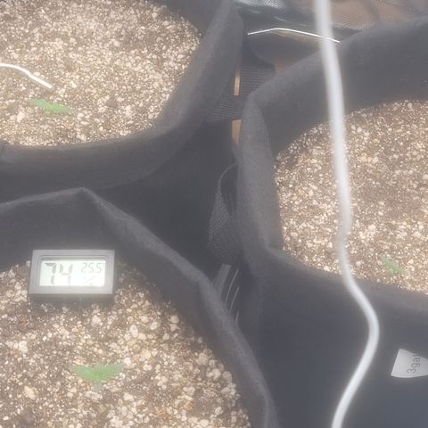 Bruce Banner Auto growlog timeline photo