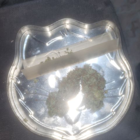Bruce Banner Auto growlog timeline photo