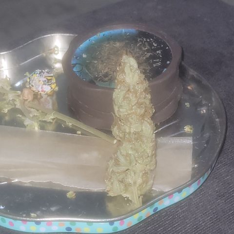 Bruce Banner Auto growlog timeline photo