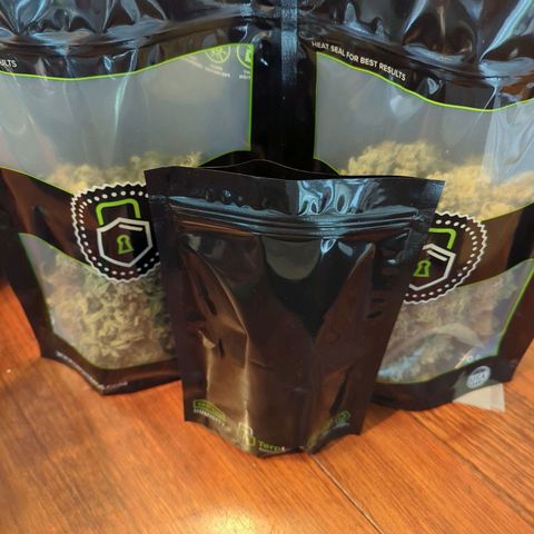 Ohio med bagseed #1 growlog timeline photo