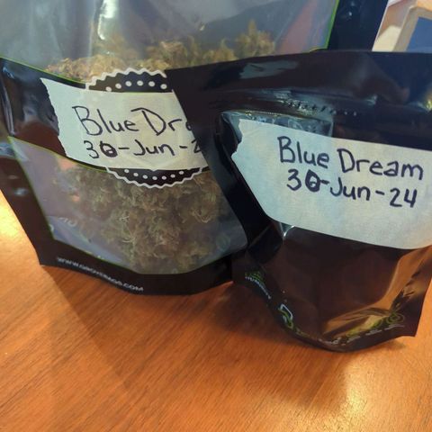 Blue Dream growlog photo: 55g
25g air / 30g colas
