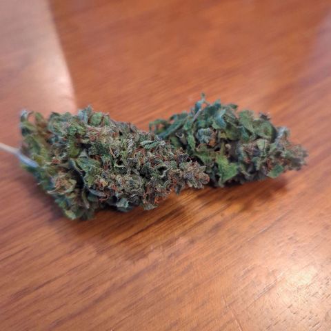 Blue Dream growlog timeline photo