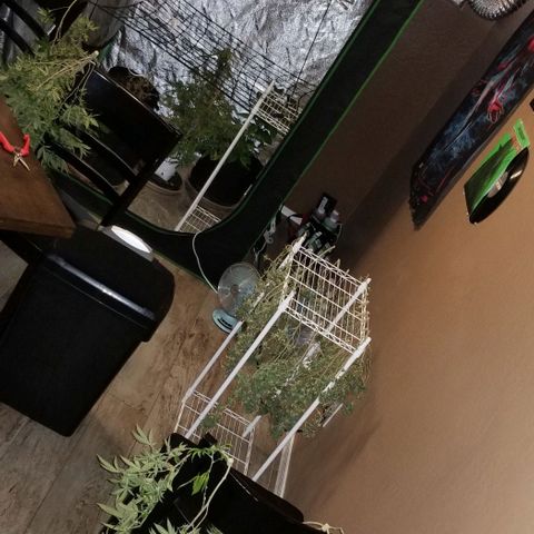 Mother's Ice Cream Milk #1 growlog timeline photo