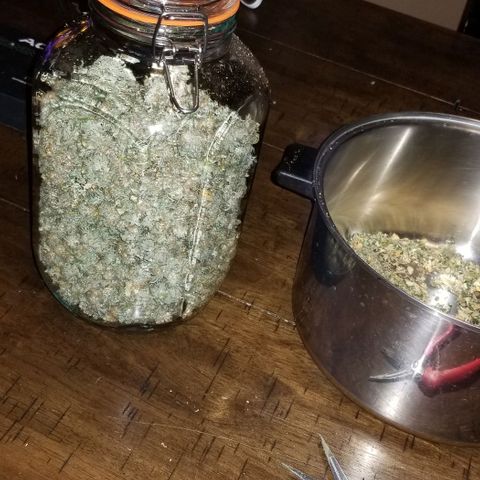 Mother's Ice Cream Milk #1 growlog timeline photo