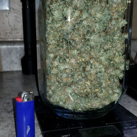 Mother's Ice Cream Milk #1 growlog timeline photo