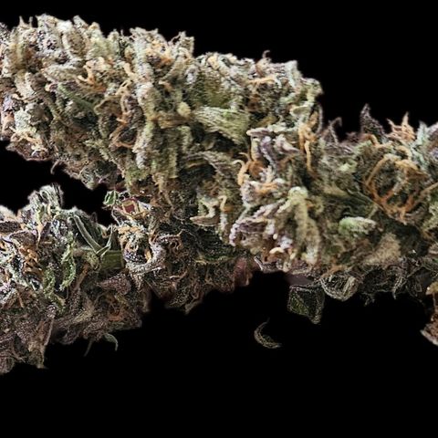 Green Crack 1 growlog timeline photo