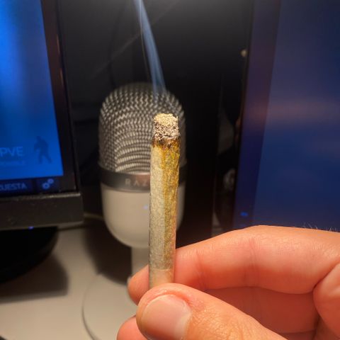 EPIC BUZZ  growlog timeline photo