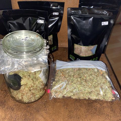 Vision Caramello Auto Light Biotabs  growlog photo: 210 total 