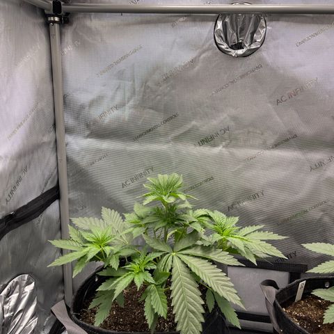 Lit Marker growlog timeline photo