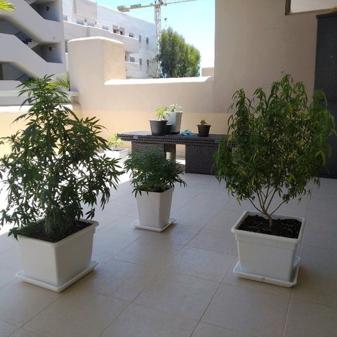 Circle  growlog timeline photo