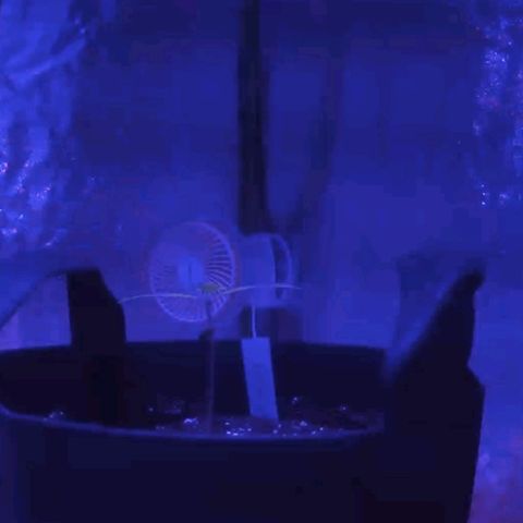 Calumet growlog photo: Camera view