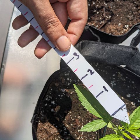 Milksox growlog timeline photo