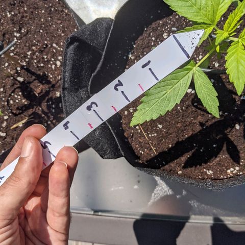 Milksox growlog timeline photo