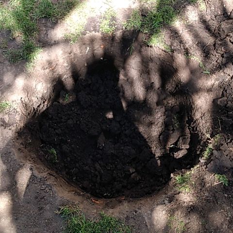 Despink growlog timeline photo
