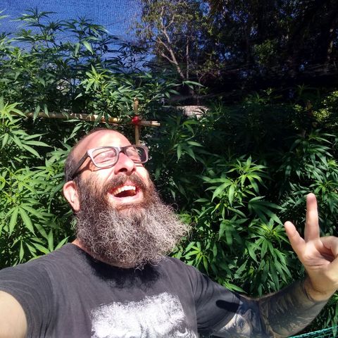 Despink growlog timeline photo