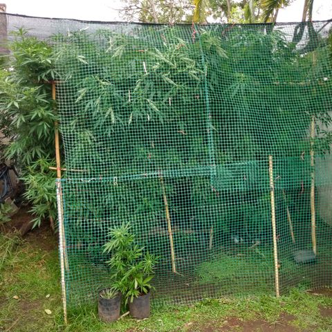 Despink growlog photo: Más contención. Se estaban viniendo muy adelante