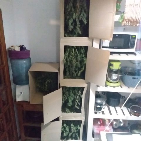 Despink growlog photo: Todo esto es despink