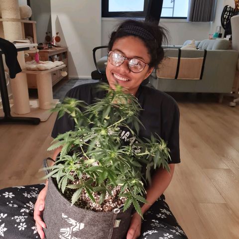 Chungus Medik growlog timeline photo