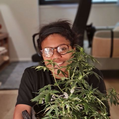 Chungus Medik growlog timeline photo