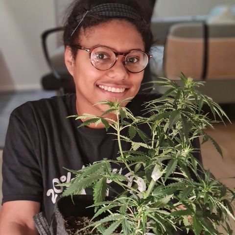 Chungus Medik growlog timeline photo