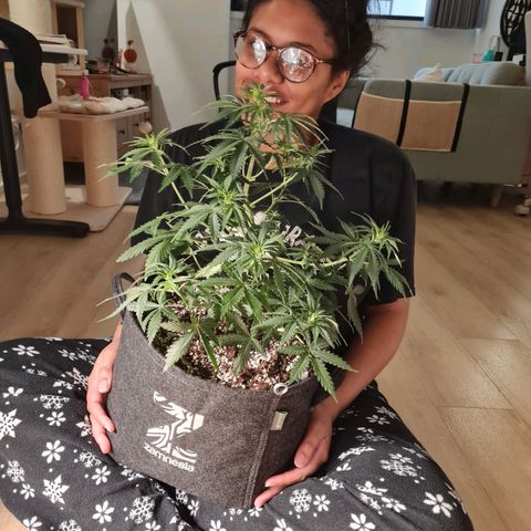 Chungus Medik growlog timeline photo