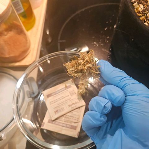 Space Girl growlog photo: First dried bud, slowdried by boveda and now curing since about 15th or so