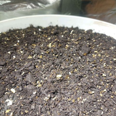 Thunder Auto I growlog timeline photo