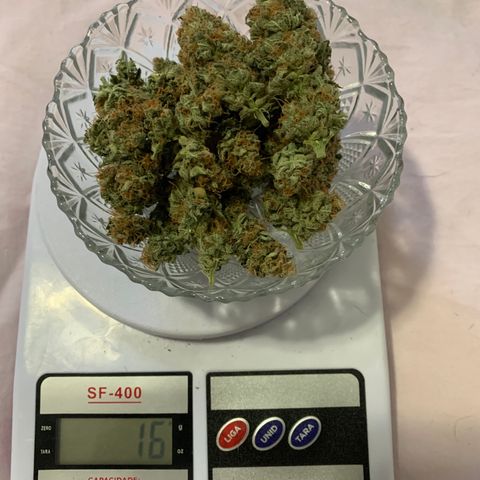 Sour Kush growlog photo: 04