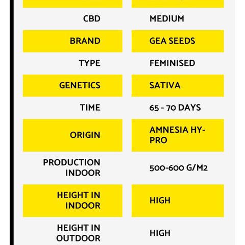 Amnesia Pro #1 growlog timeline photo