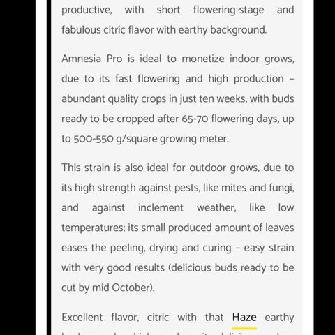Amnesia Pro #1 growlog timeline photo