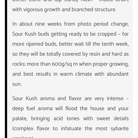Sour Kush growlog timeline photo