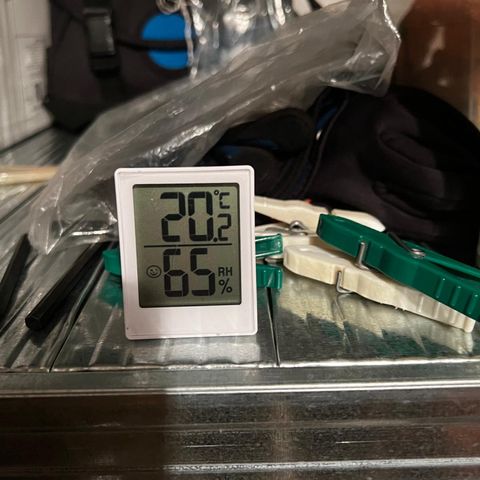 Ginger punch  growlog timeline photo