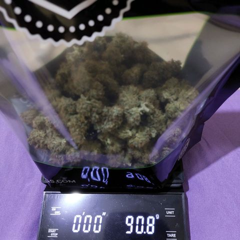 Wdc 2fast4bud growlog timeline photo