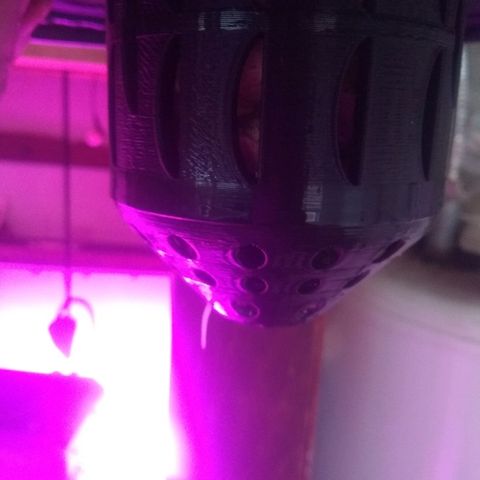 Chichita growlog timeline photo