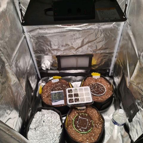 Poison 3 T.P.3 growlog timeline photo